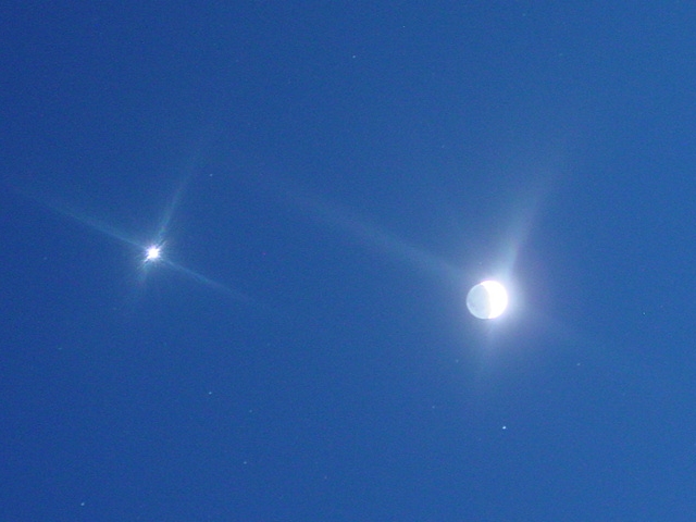 615x454 pixels (142K)